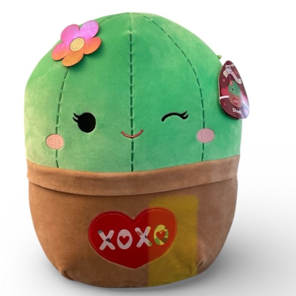 Squishmallows cactus NEW shadi love cactus XOXO 🚨takes up box🚨